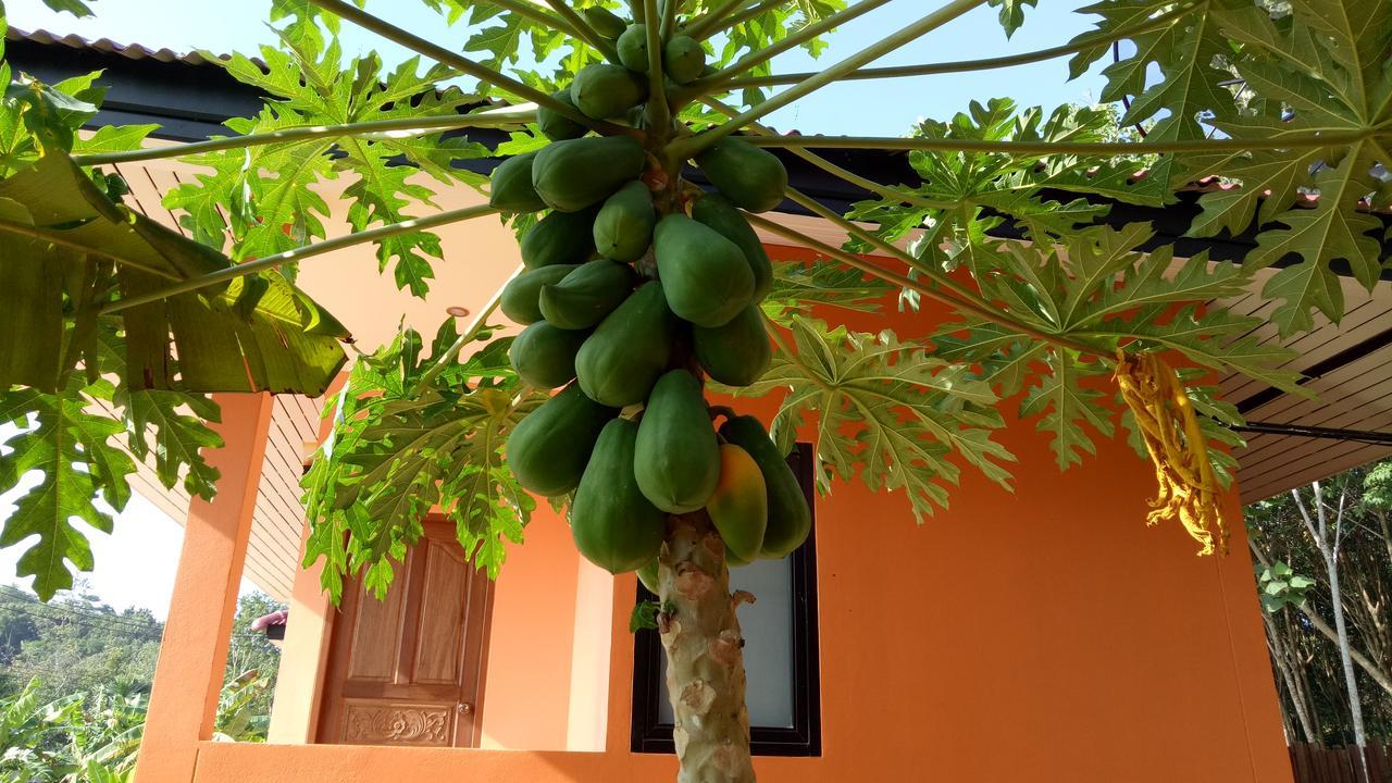 Baansuan Amaleena Ko Yao Noi Exteriör bild