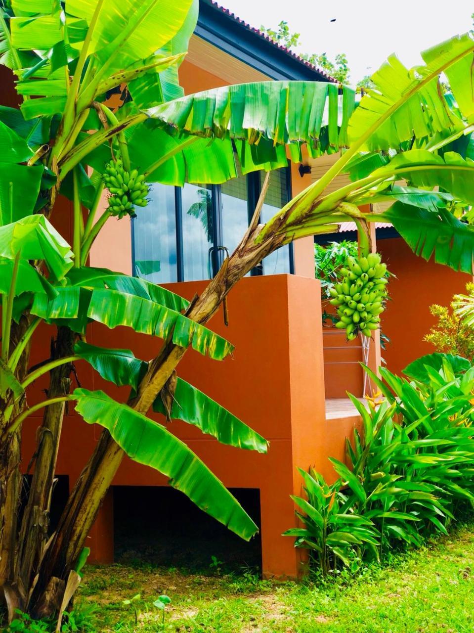 Baansuan Amaleena Ko Yao Noi Exteriör bild